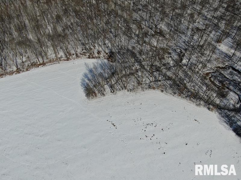 0 North 1300th Street Flat Rock, IL 62427 - Photo 11 of 54