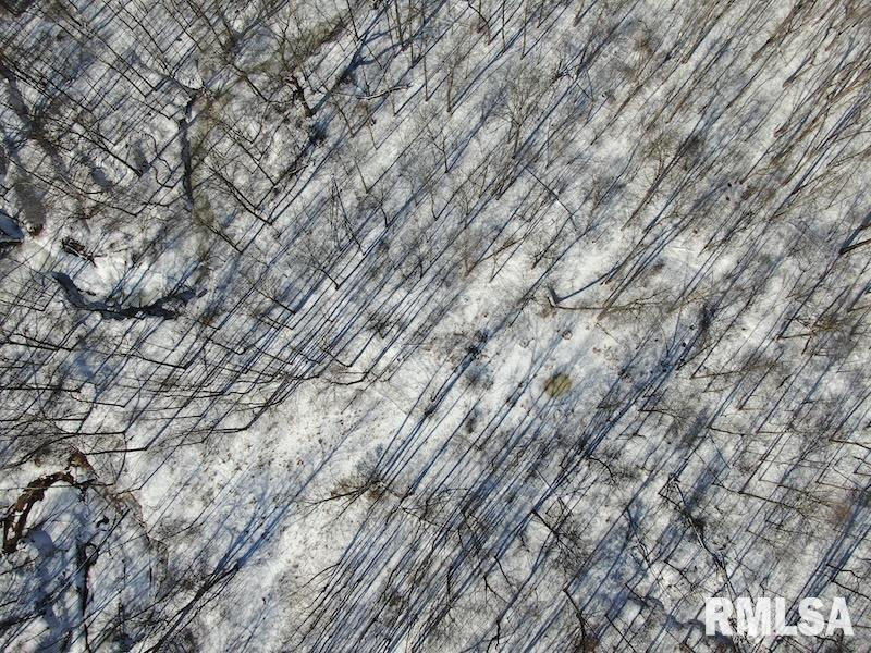 0 North 1300th Street Flat Rock, IL 62427 - Photo 16 of 54