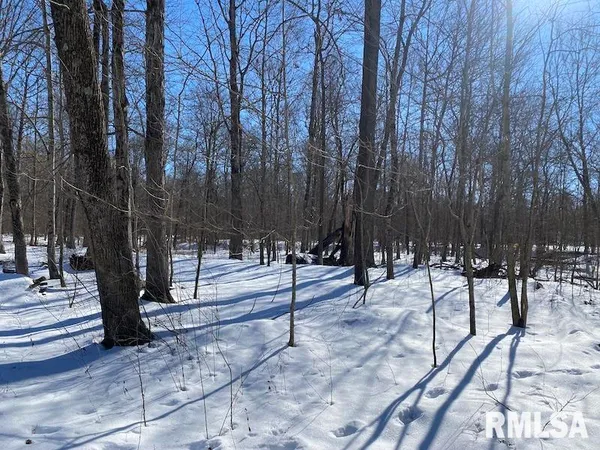 $357,000 | 0 North 1300th Street, Flat Rock, IL 62427