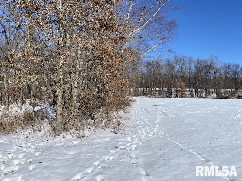 0 North 1300th Street Flat Rock, IL 62427 - Photo 24 of 54
