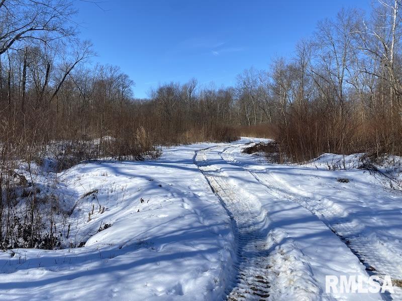 0 North 1300th Street Flat Rock, IL 62427 - Photo 25 of 54