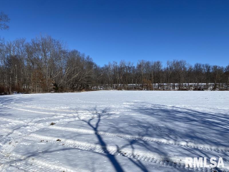 0 North 1300th Street Flat Rock, IL 62427 - Photo 28 of 54