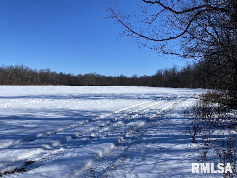 0 North 1300th Street Flat Rock, IL 62427 - Photo 29 of 54