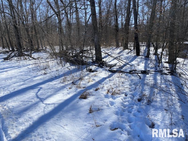 0 North 1300th Street Flat Rock, IL 62427 - Photo 30 of 54