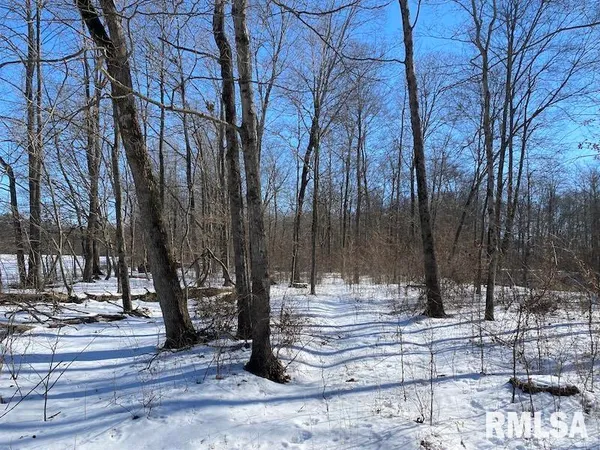 $357,000 | 0 North 1300th Street, Flat Rock, IL 62427