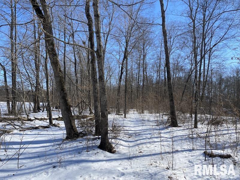 0 North 1300th Street Flat Rock, IL 62427 - Photo 31 of 54
