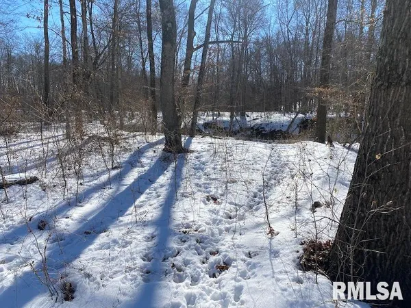 $357,000 | 0 North 1300th Street, Flat Rock, IL 62427