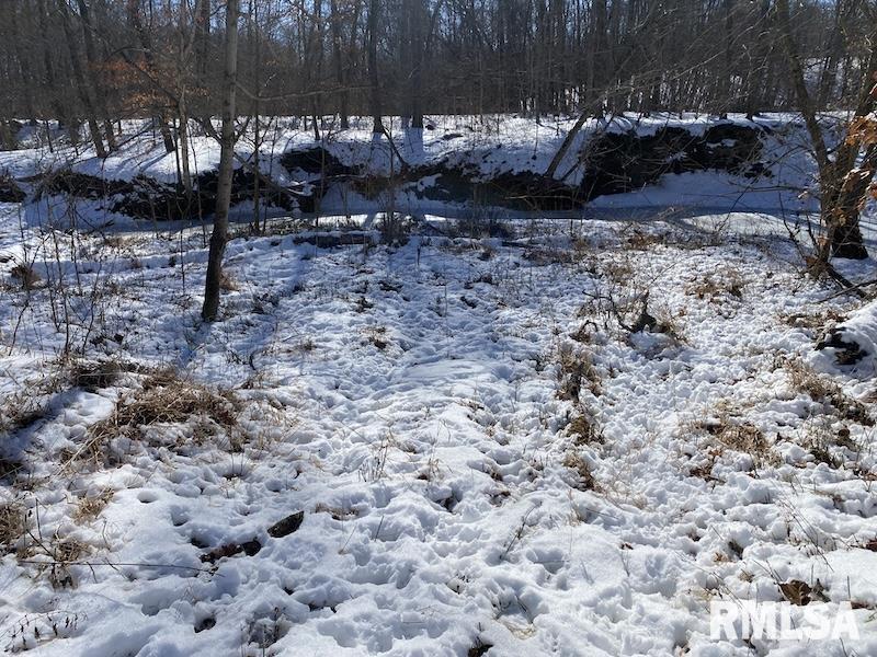 0 North 1300th Street Flat Rock, IL 62427 - Photo 33 of 54