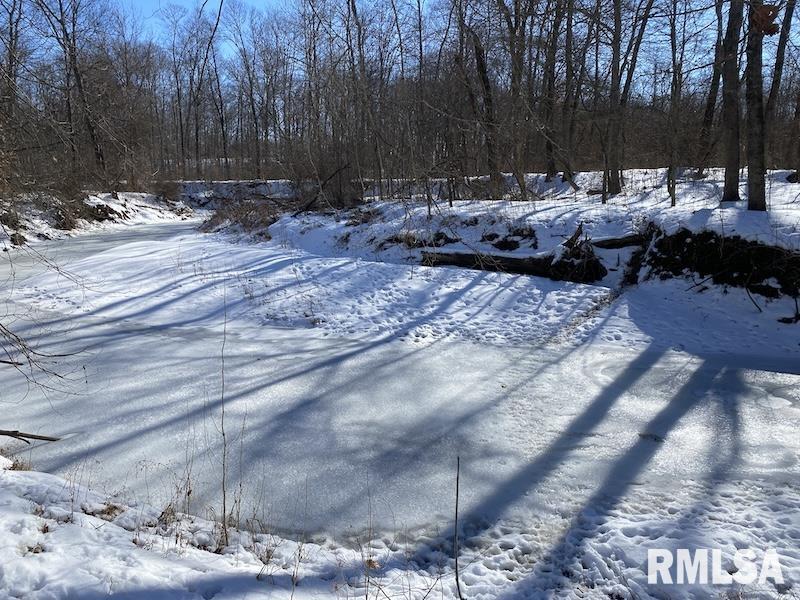 0 North 1300th Street Flat Rock, IL 62427 - Photo 34 of 54