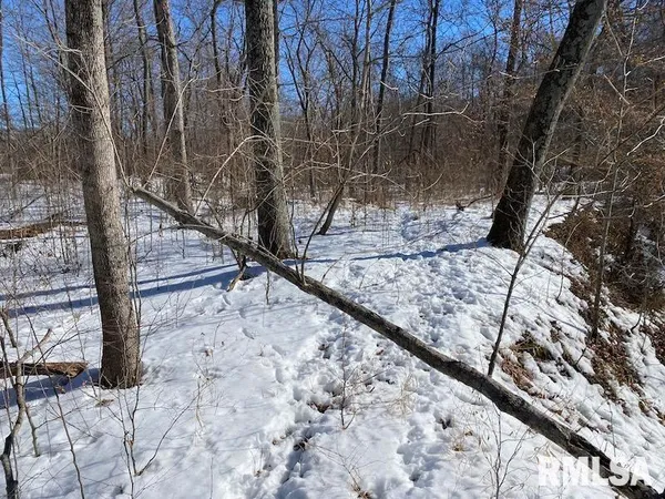 $357,000 | 0 North 1300th Street, Flat Rock, IL 62427