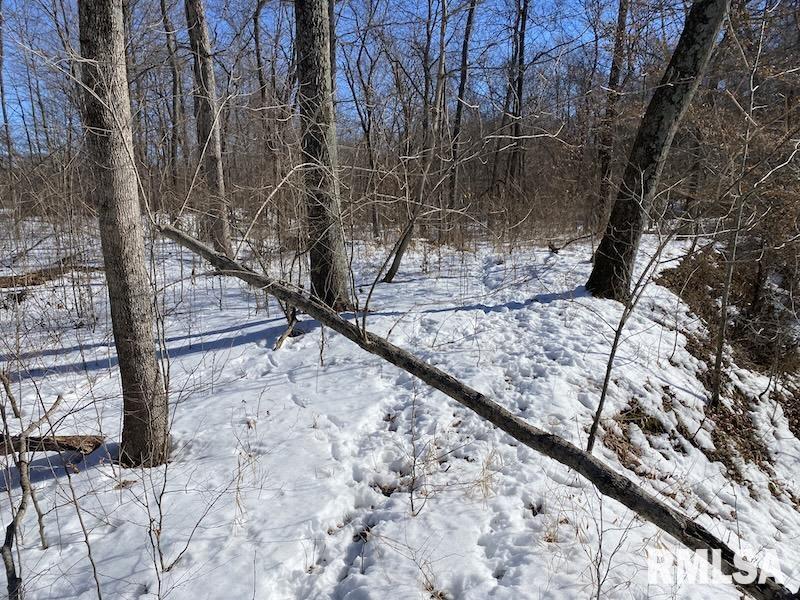 0 North 1300th Street Flat Rock, IL 62427 - Photo 35 of 54