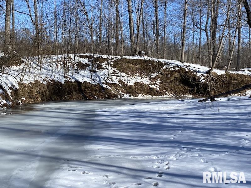 0 North 1300th Street Flat Rock, IL 62427 - Photo 36 of 54