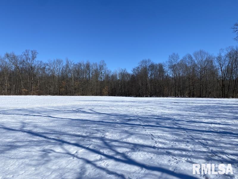 0 North 1300th Street Flat Rock, IL 62427 - Photo 37 of 54
