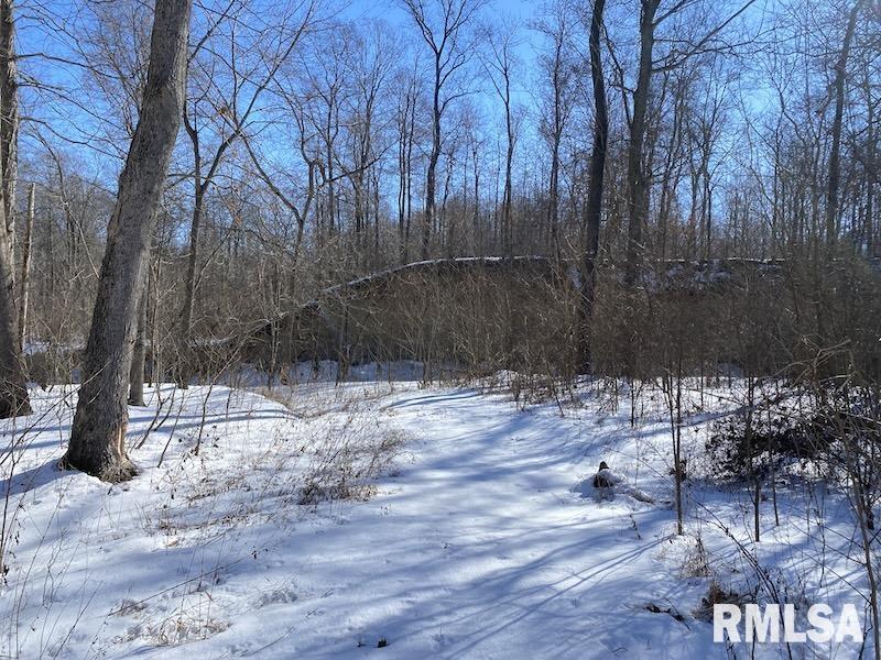 0 North 1300th Street Flat Rock, IL 62427 - Photo 39 of 54