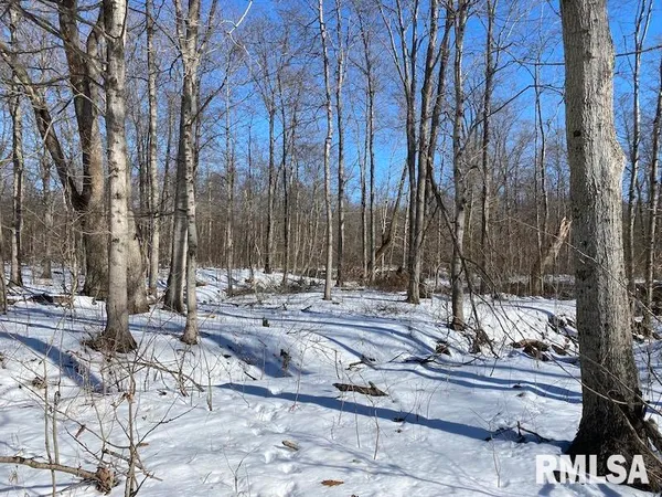 $357,000 | 0 North 1300th Street, Flat Rock, IL 62427