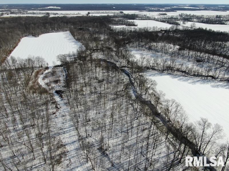 0 North 1300th Street Flat Rock, IL 62427 - Photo 4 of 54