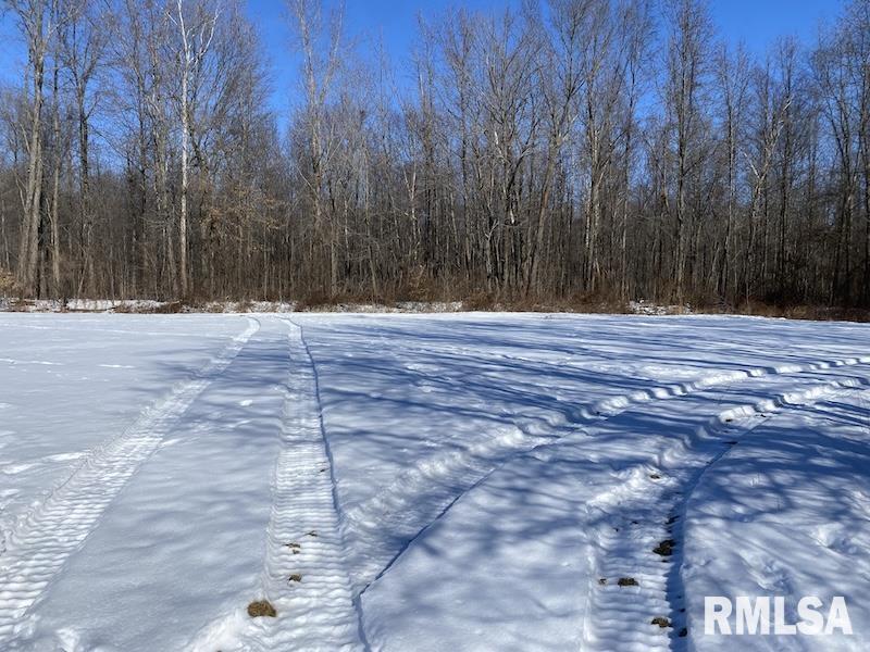 0 North 1300th Street Flat Rock, IL 62427 - Photo 41 of 54