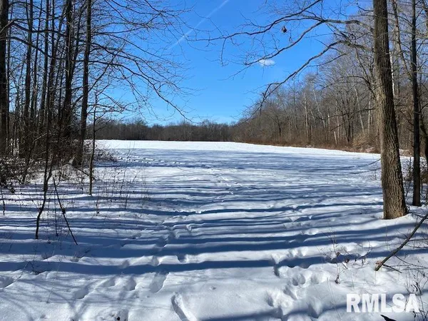 $357,000 | 0 North 1300th Street, Flat Rock, IL 62427