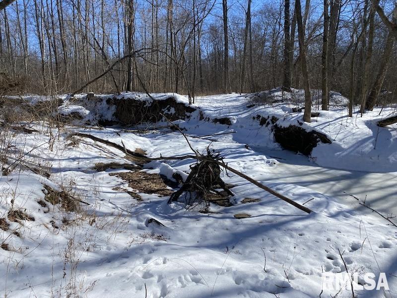 0 North 1300th Street Flat Rock, IL 62427 - Photo 45 of 54