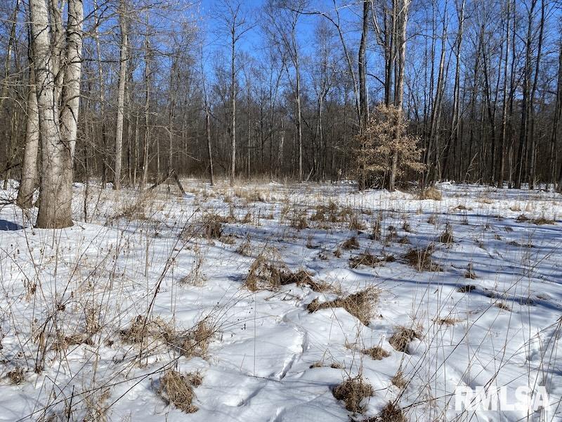 0 North 1300th Street Flat Rock, IL 62427 - Photo 46 of 54