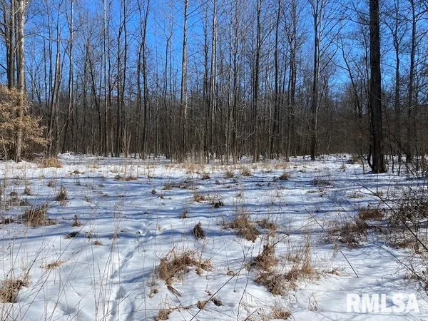 $357,000 | 0 North 1300th Street, Flat Rock, IL 62427