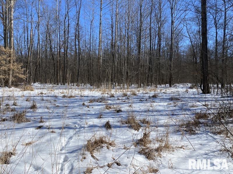 0 North 1300th Street Flat Rock, IL 62427 - Photo 47 of 54