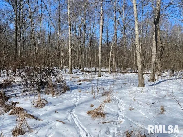 $357,000 | 0 North 1300th Street, Flat Rock, IL 62427