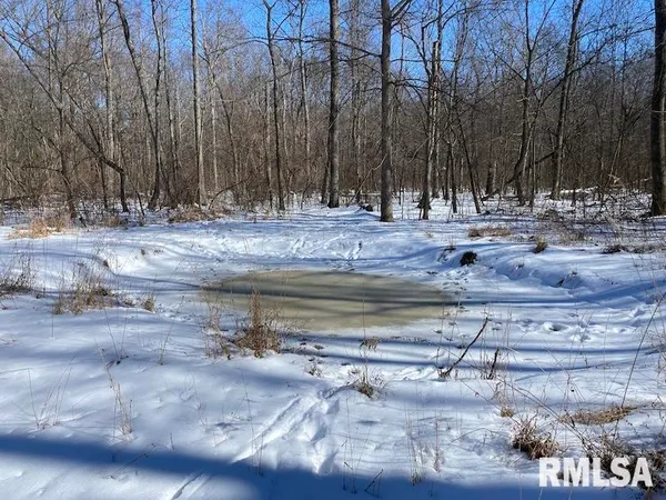 $357,000 | 0 North 1300th Street, Flat Rock, IL 62427