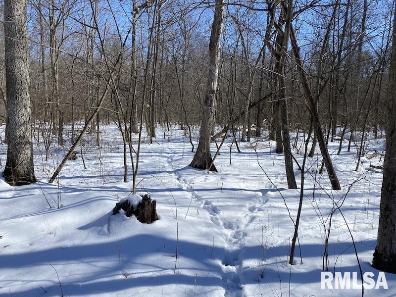 0 North 1300th Street Flat Rock, IL 62427 - Photo 51 of 54