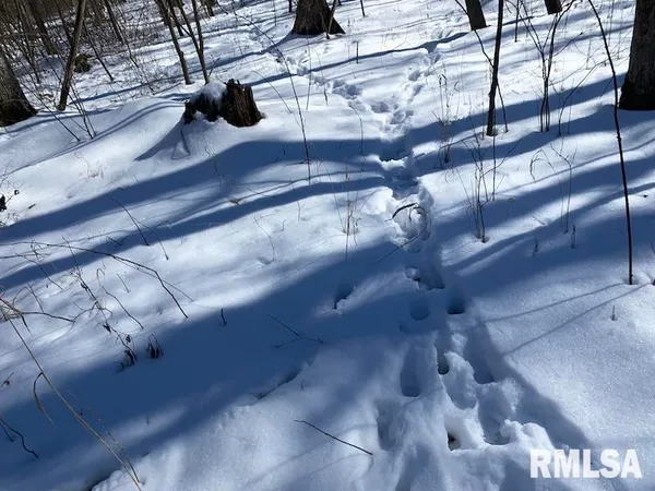 $357,000 | 0 North 1300th Street, Flat Rock, IL 62427