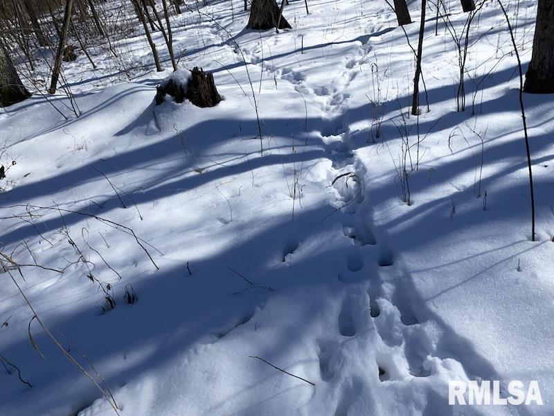 0 North 1300th Street Flat Rock, IL 62427 - Photo 52 of 54