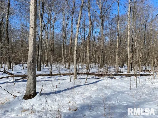 $357,000 | 0 North 1300th Street, Flat Rock, IL 62427