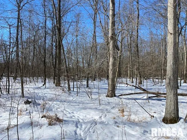 $357,000 | 0 North 1300th Street, Flat Rock, IL 62427