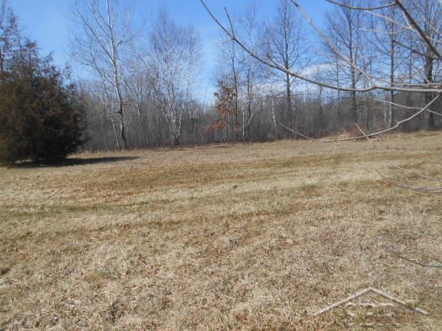 20090 West Ithaca Road Brant, MI 48614 - Photo 21 of 22 31316937-20.JPG