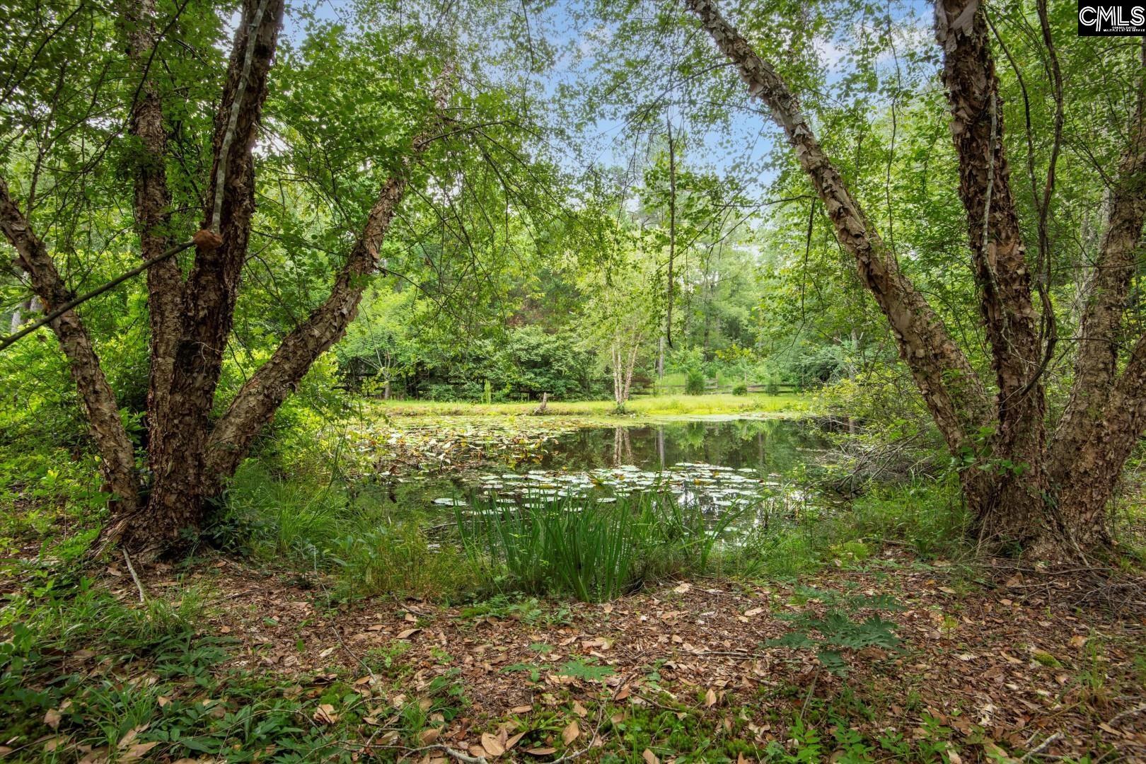0 Rabon Circle Elgin, SC 29045 - Photo 8 of 8