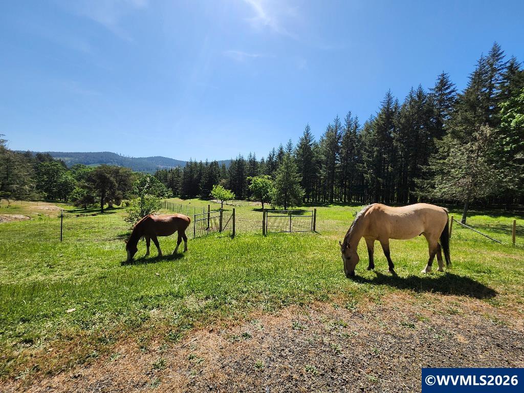 27494 South Boundary Road Corvallis, OR 97330 - Photo 28 of 41