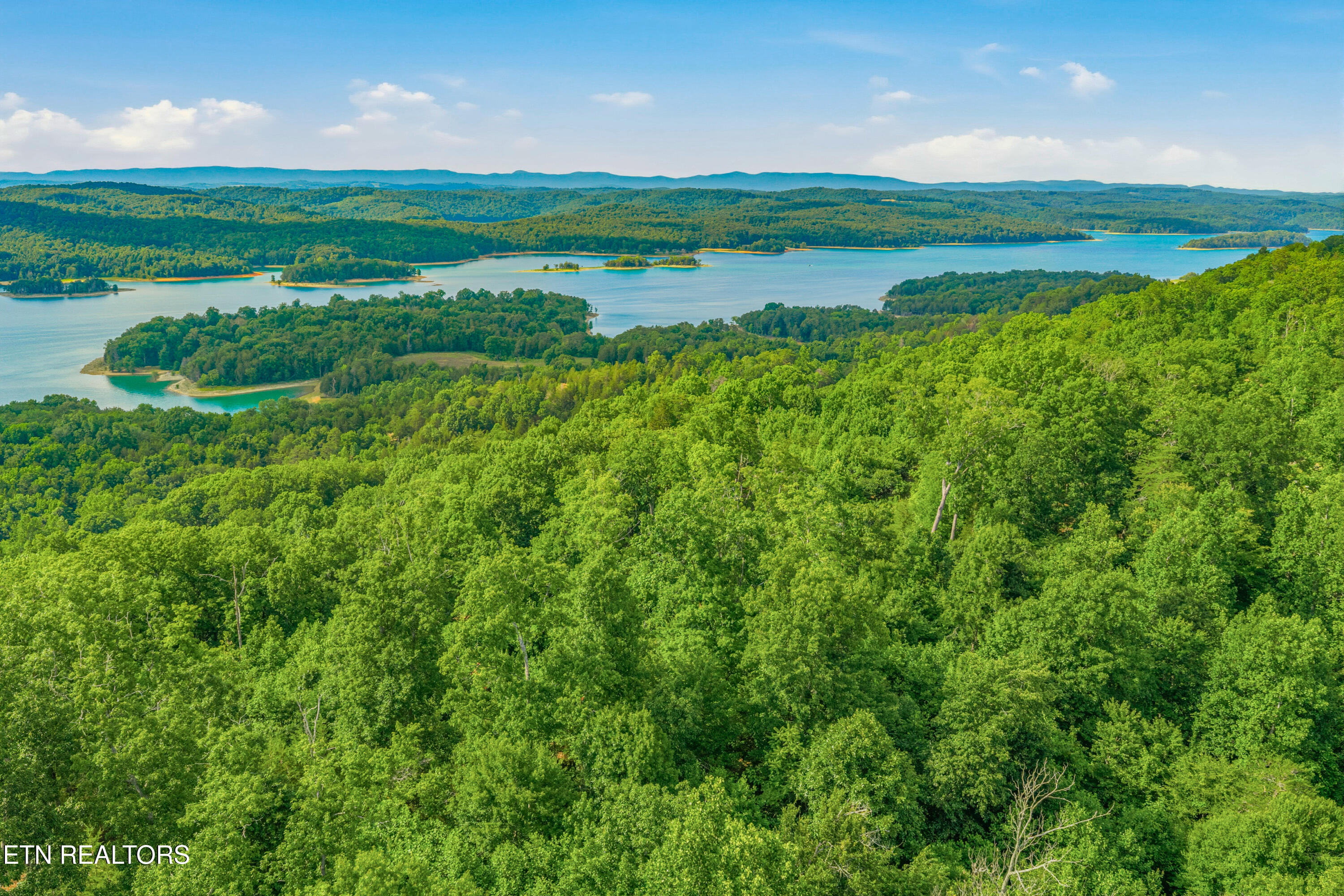 Dark Hollow Road Andersonville, TN 37705 - Photo 6 of 21 20-print-Dark Hollow Road-20