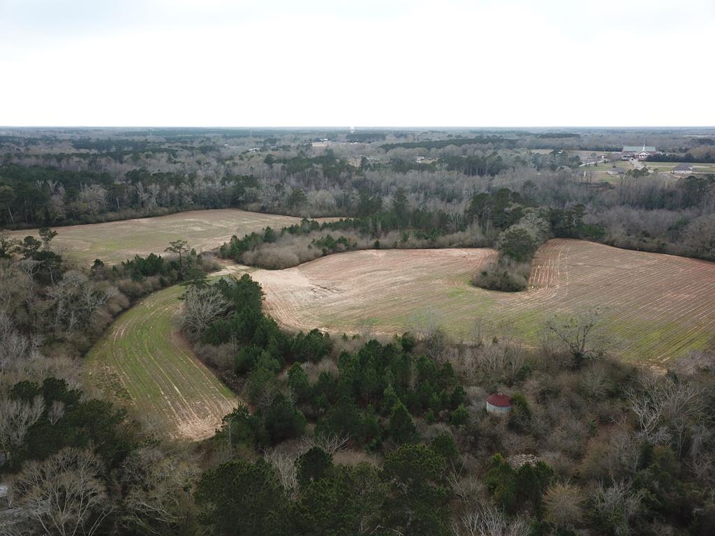 50.45-acres Trawick Road Dothan, AL 36301 - Photo 49 of 62