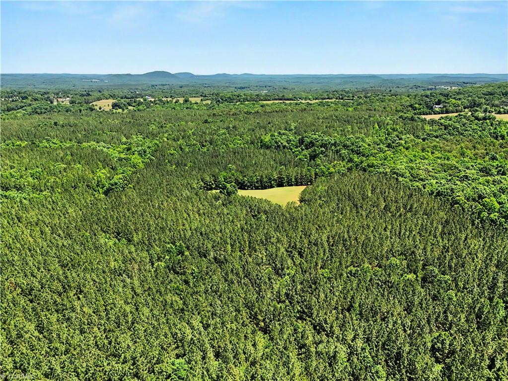 404 Kennedy Farm Road South Trinity, NC 27370 - Photo 34 of 37