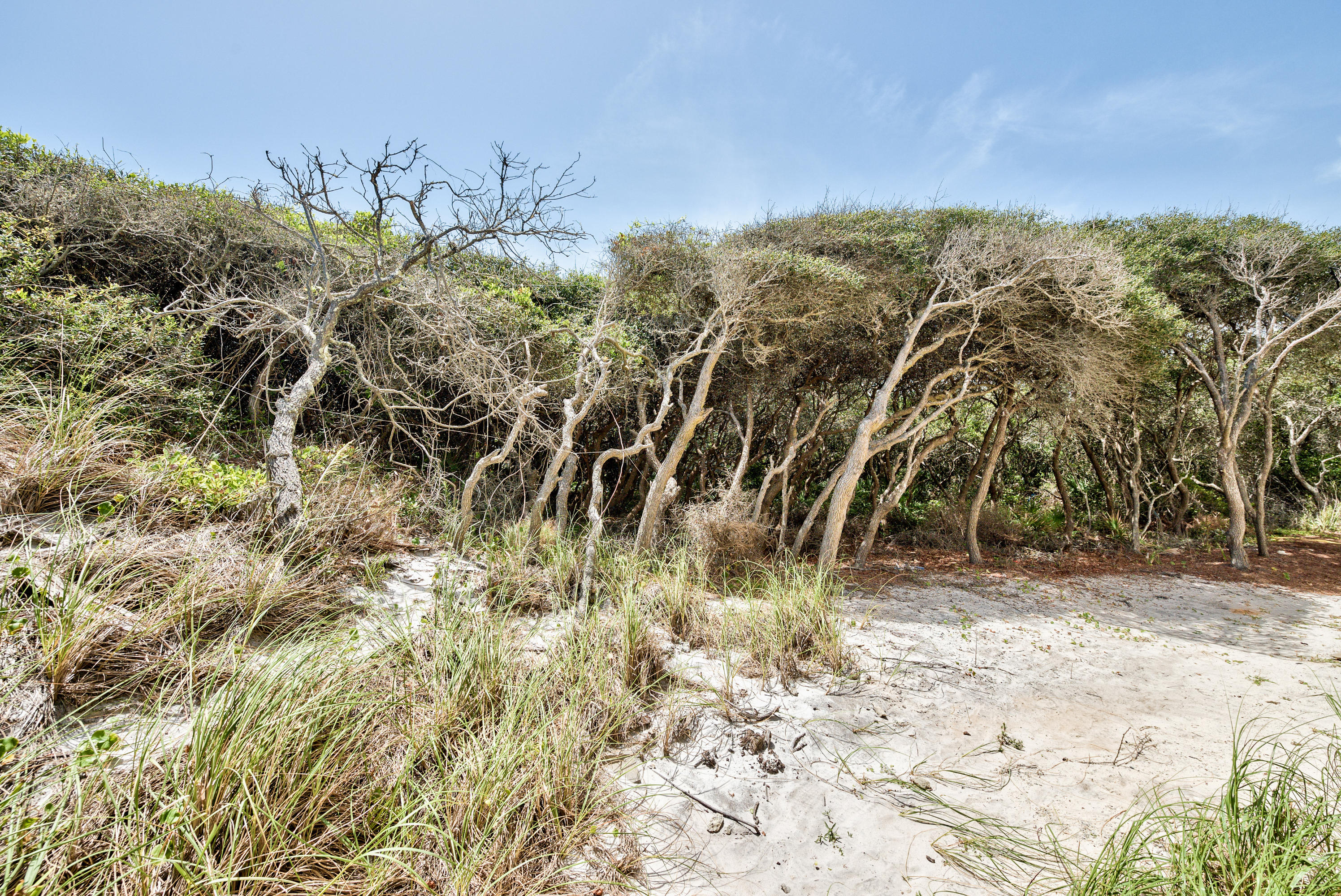 179 Pelican Circle Seacrest, FL 32461 - Photo 52 of 94