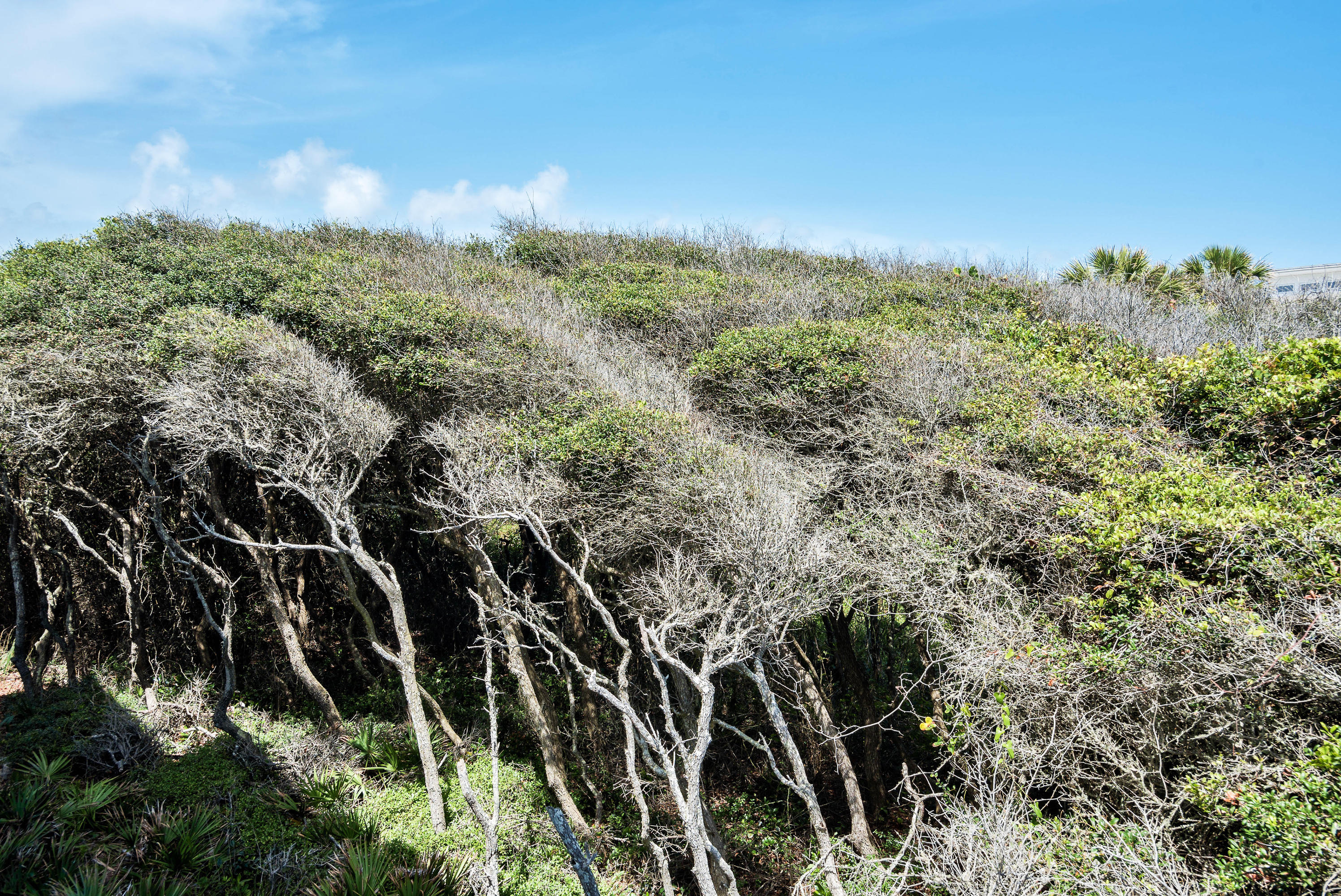 179 Pelican Circle Seacrest, FL 32461 - Photo 86 of 94