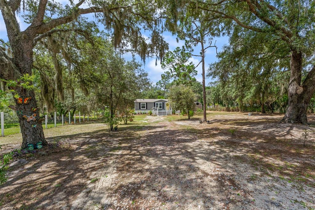 8170 Dogyard Road Lake Wales, FL 33898 - Photo 3 of 58