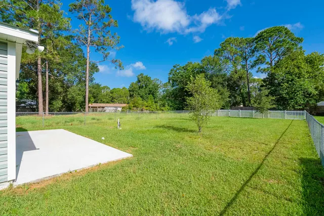a view of a park with large trees