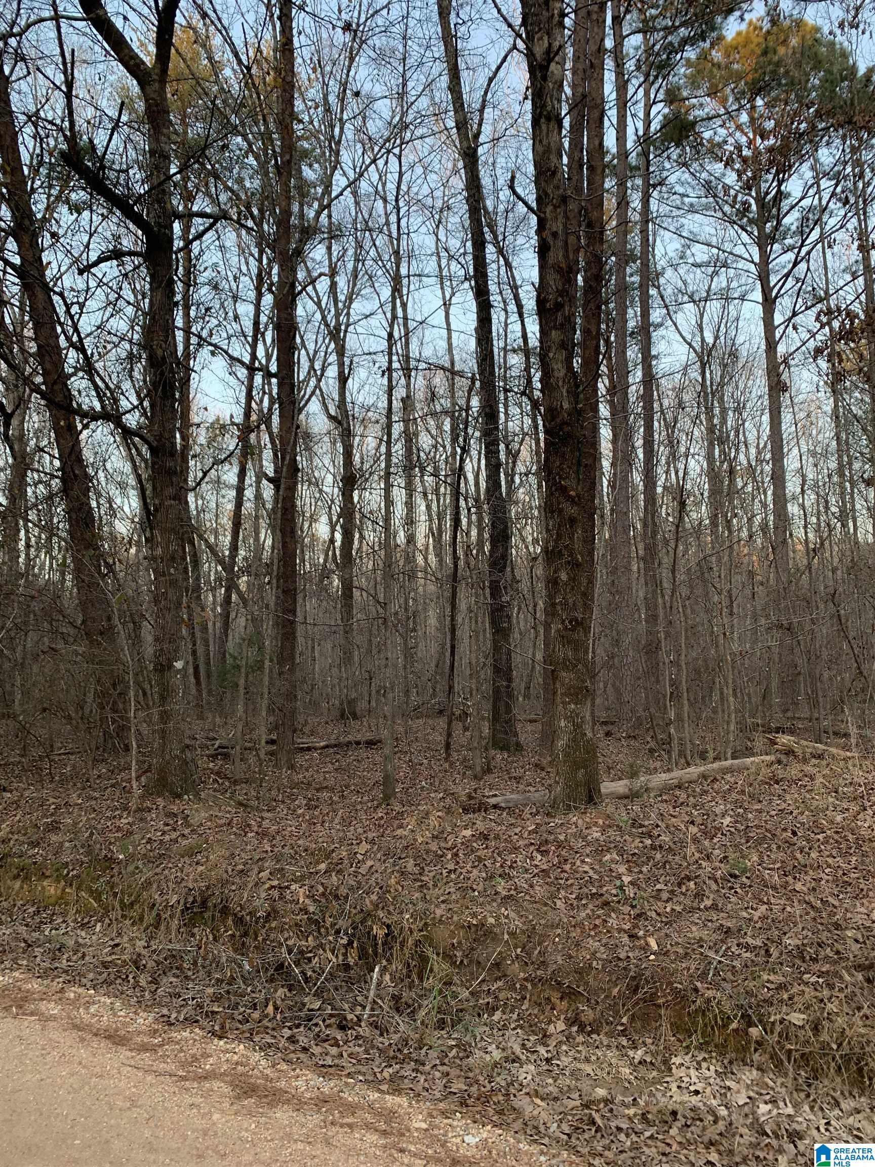 156 County Road Jemison, AL 35085 - Photo 2 of 14