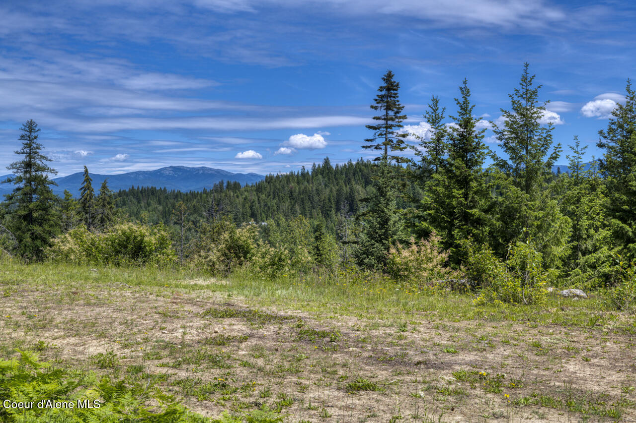 1356 Hidden Valley Road Sandpoint, ID 83864 - Photo 10 of 18 Level Build Site