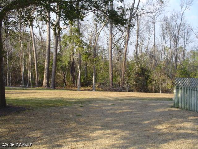 4316 Country Club Road Morehead City, NC 28557 - Photo 4 of 13 Rear Yard