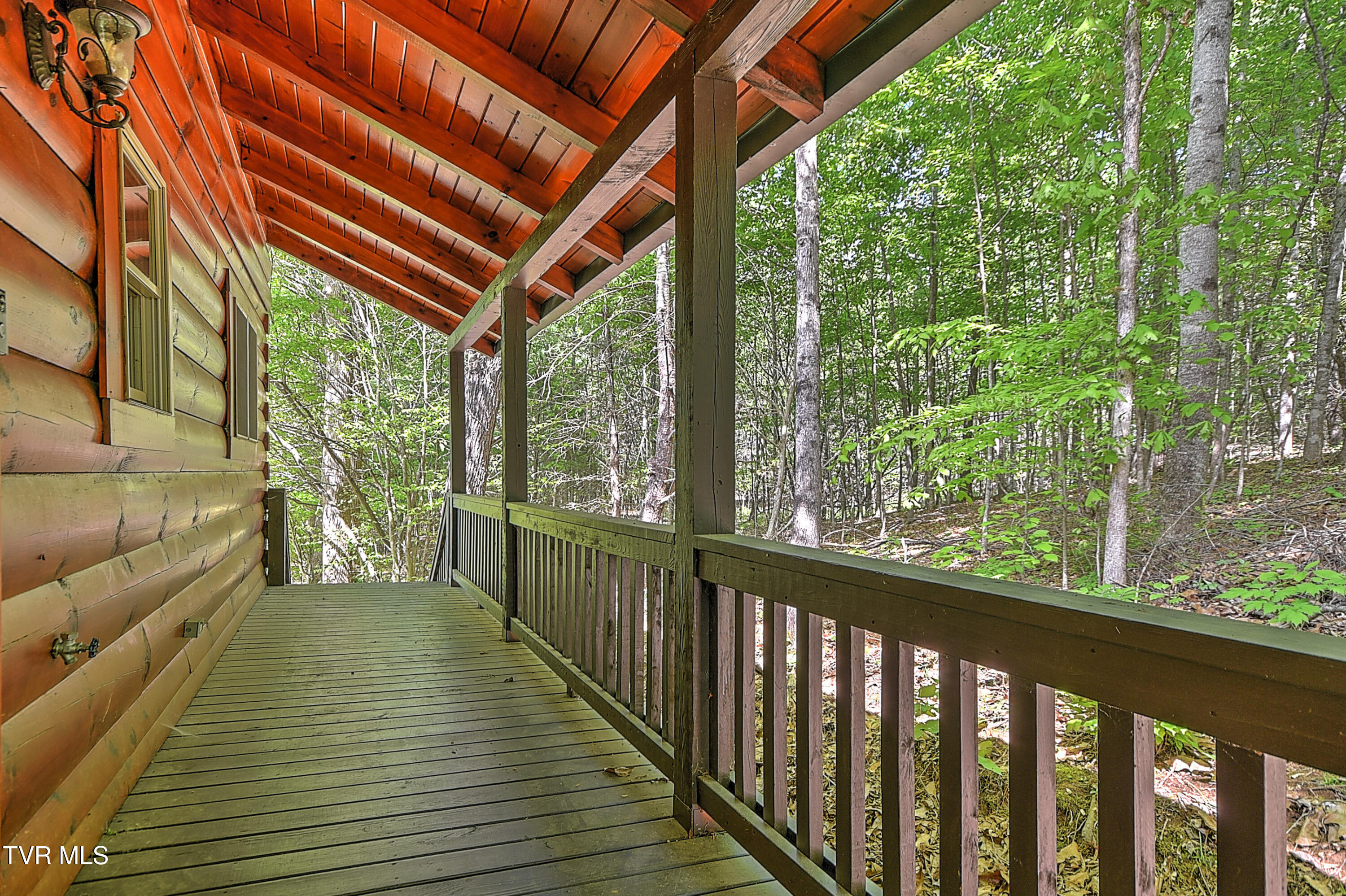 375 Lake Cabin Lane Butler, TN 37640 - Photo 2 of 81 375 Cabin Lake DST-2