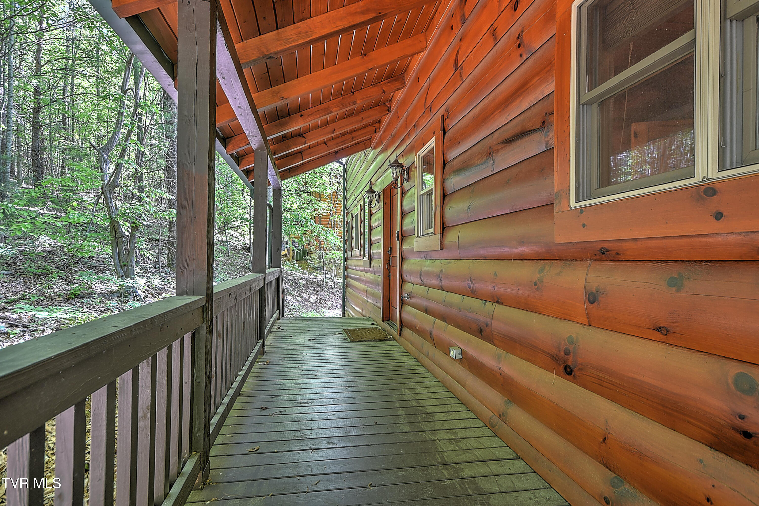 375 Lake Cabin Lane Butler, TN 37640 - Photo 3 of 81 375 Cabin Lake DST-3