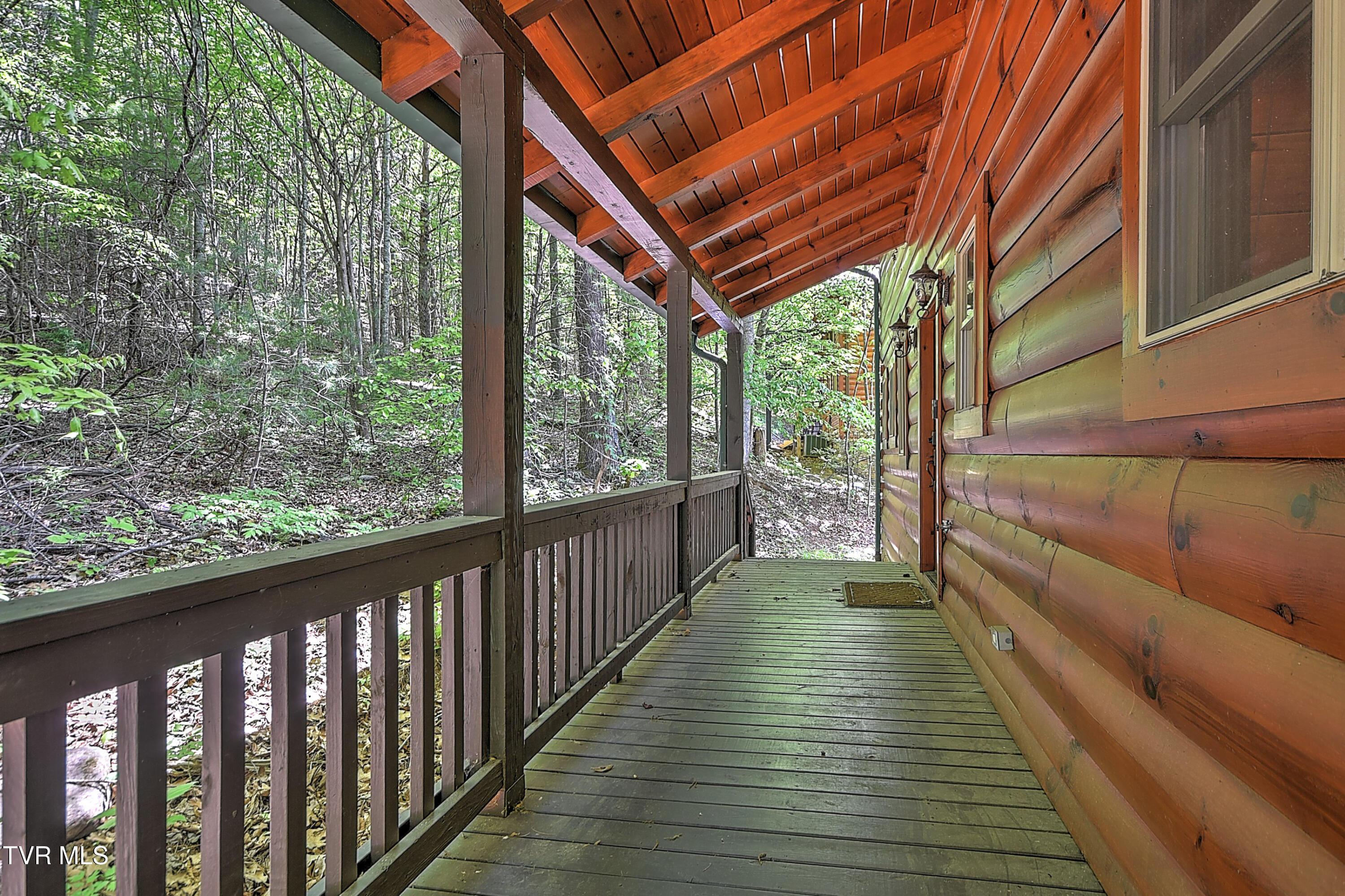 375 Lake Cabin Lane Butler, TN 37640 - Photo 4 of 81 375 Cabin Lake DST-4