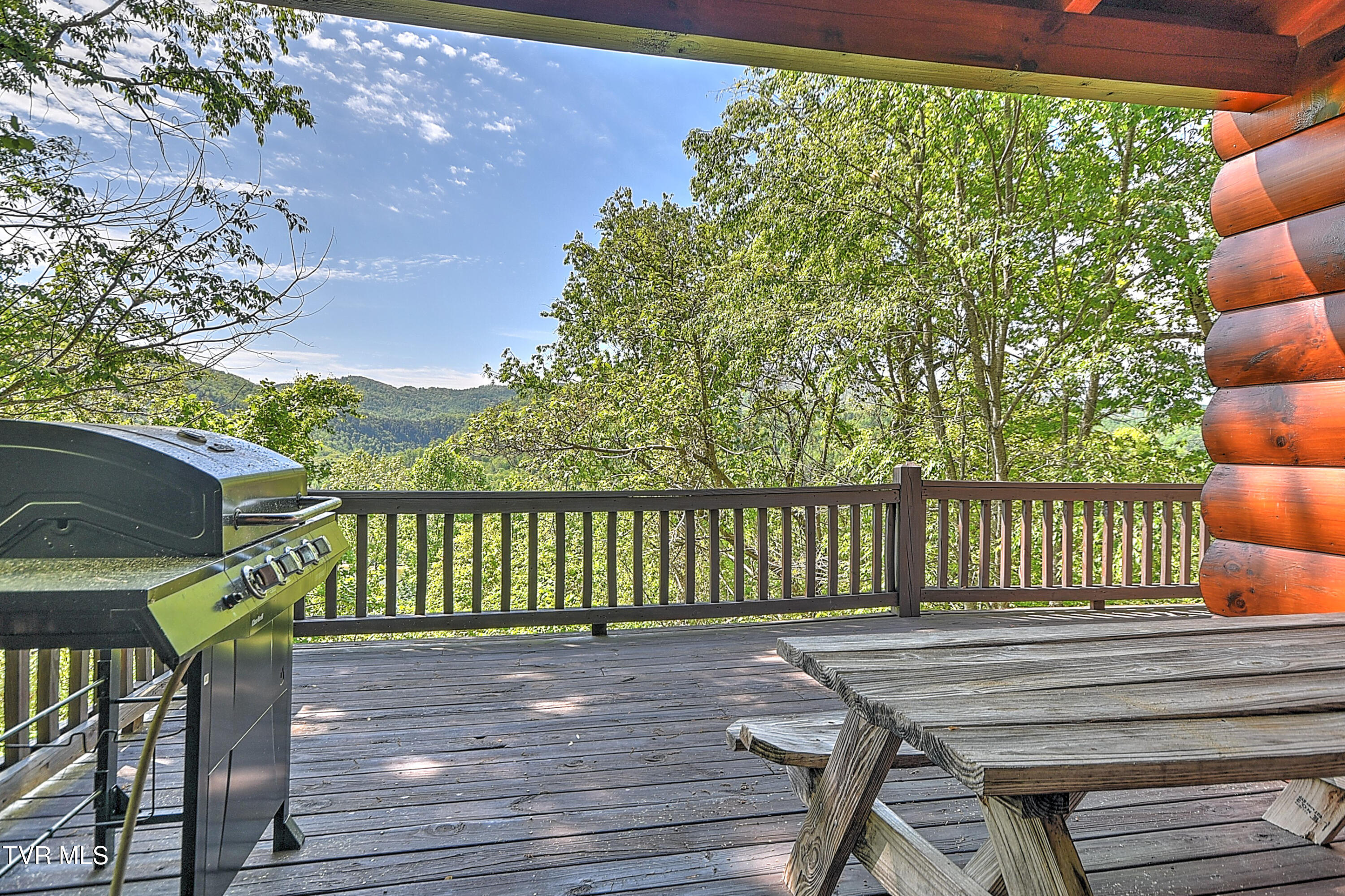 375 Lake Cabin Lane Butler, TN 37640 - Photo 5 of 81 375 Cabin Lake DST-5